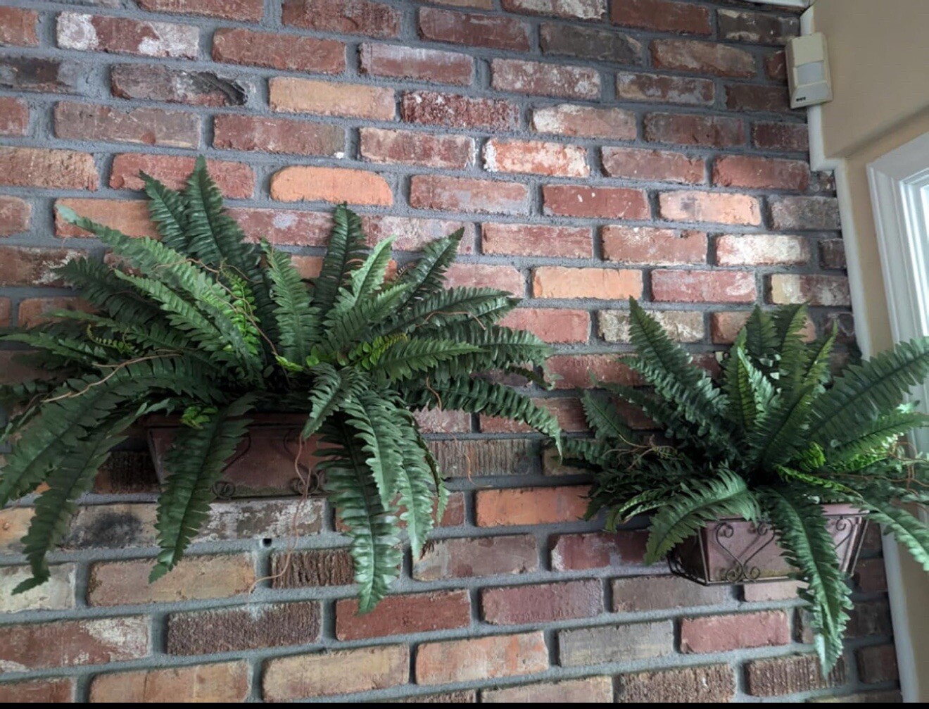 48" Boston Fern Artificial Bush Plant Pack 2. Retail $103