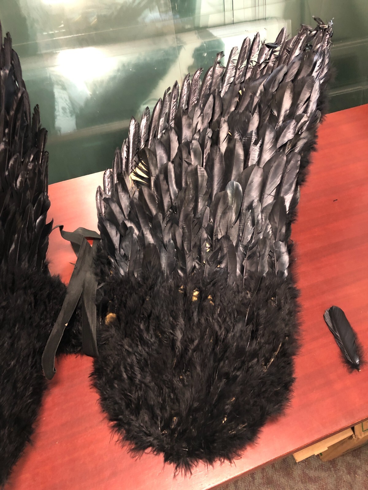 Touch of Nature Black Adult Angel Wings 52" by 36"