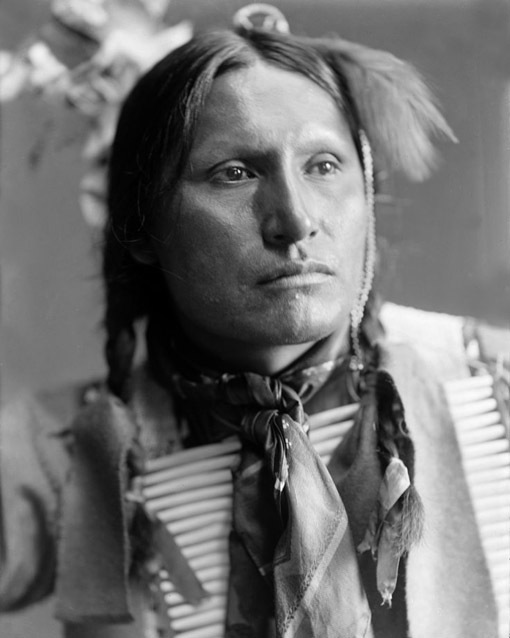 Native American CHIEF AMERICAN HORSE Glossy 8x10 Photo Oglala Lakota Print