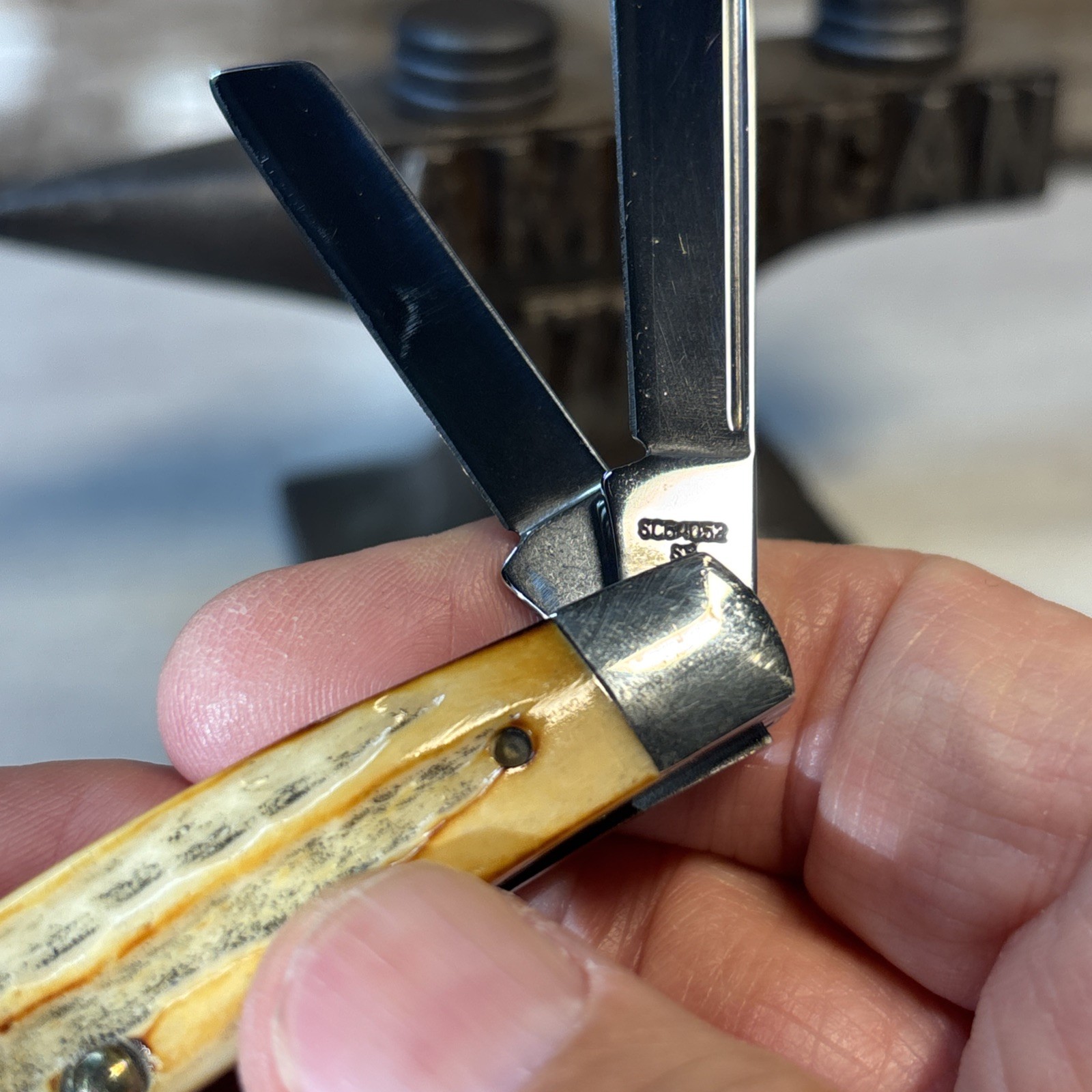 Case XX SC64052 1993 4 Blade Congress Pocket Knife Second Cut Bone Stag