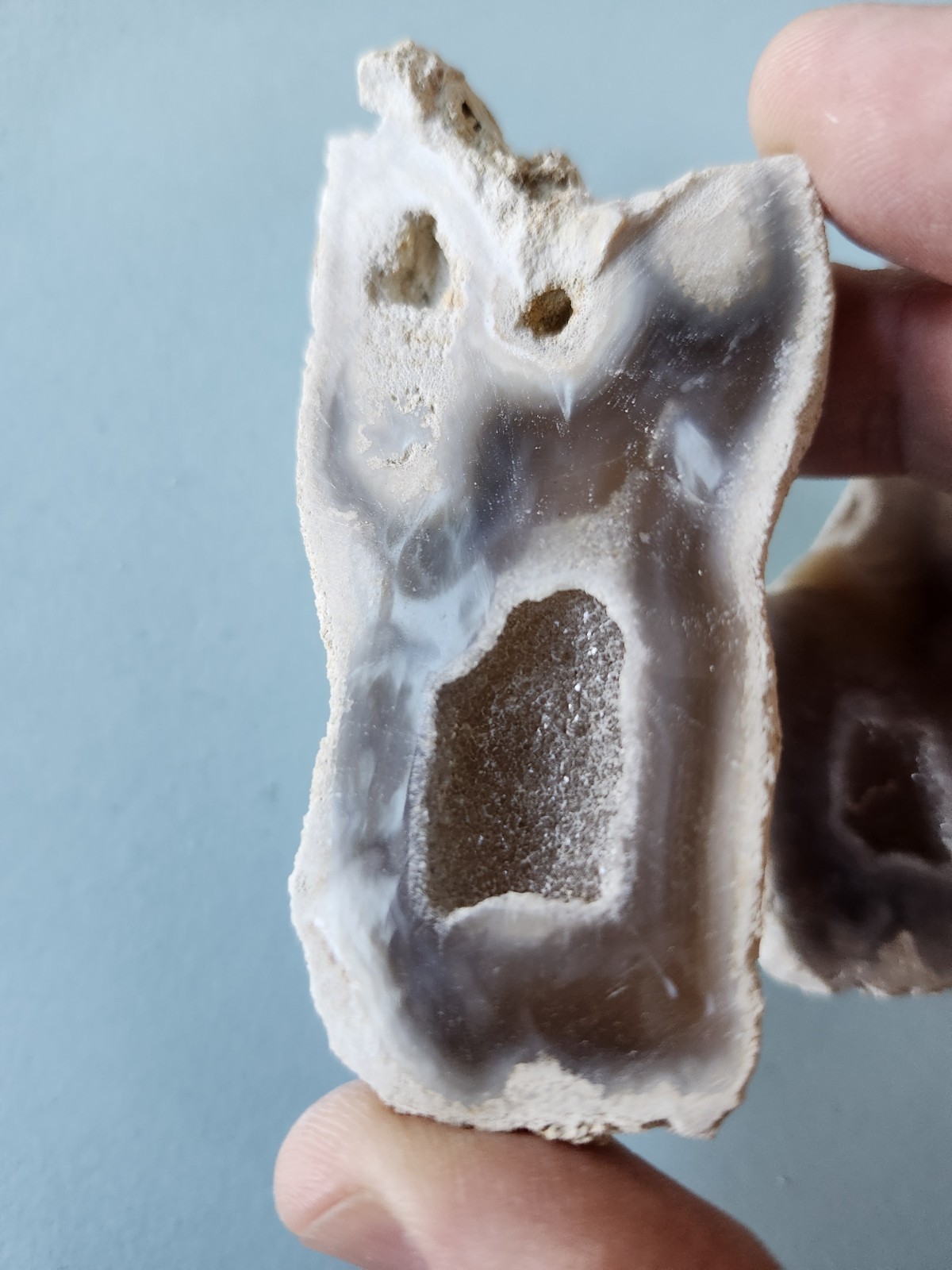 Florida Agatized Coral Fossil Pair, Part polished Chalcedony Druzy Fluorescent!