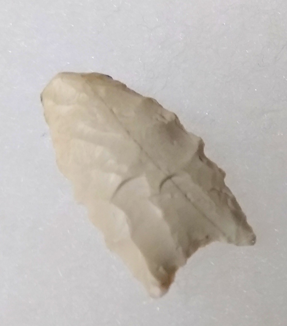 Small Paleo Point California