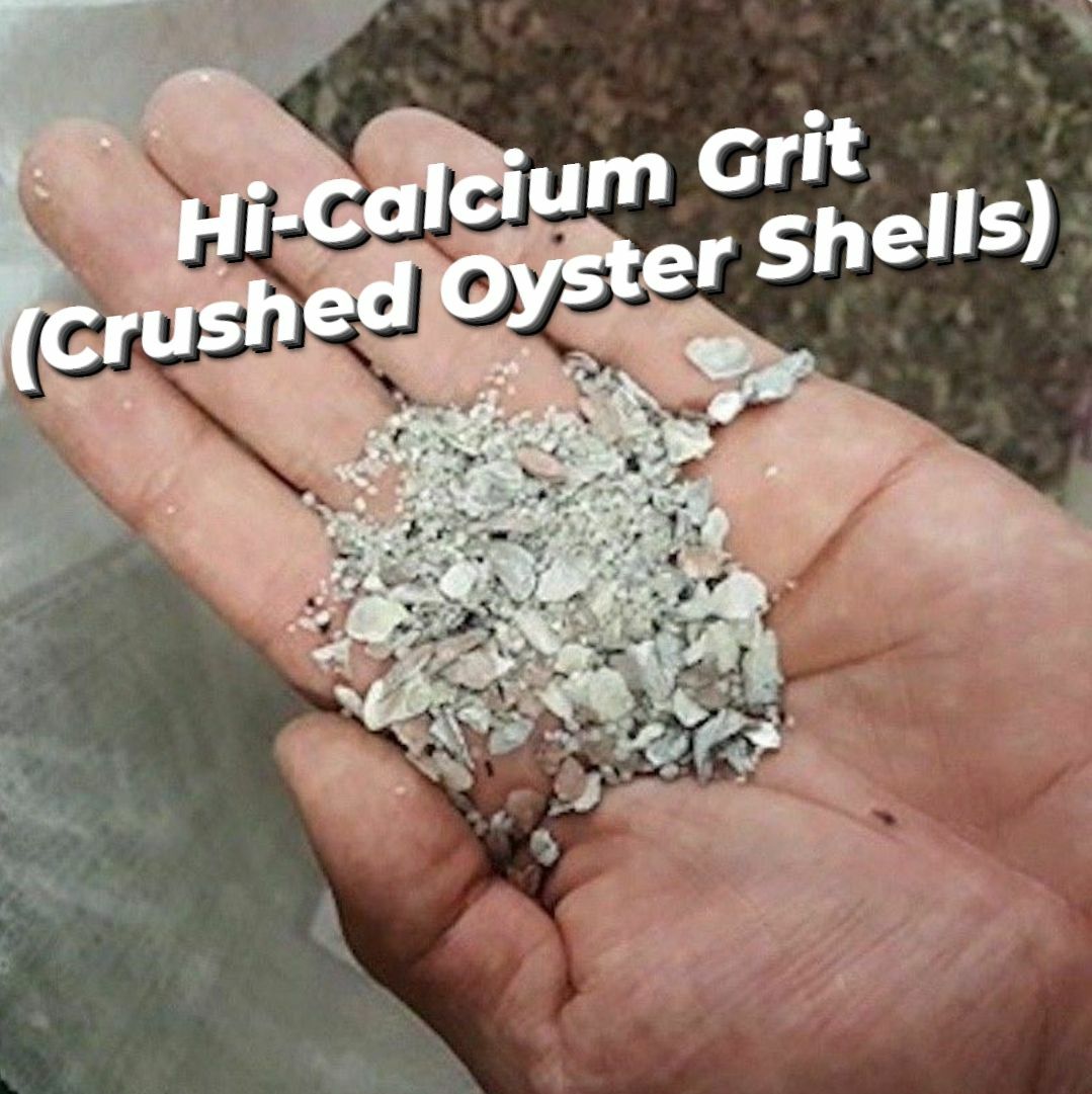Hi Calcium Grit & Oyster Shells for Birds & Chickens 1 Pound *Buy 2 Get 1 FREE*