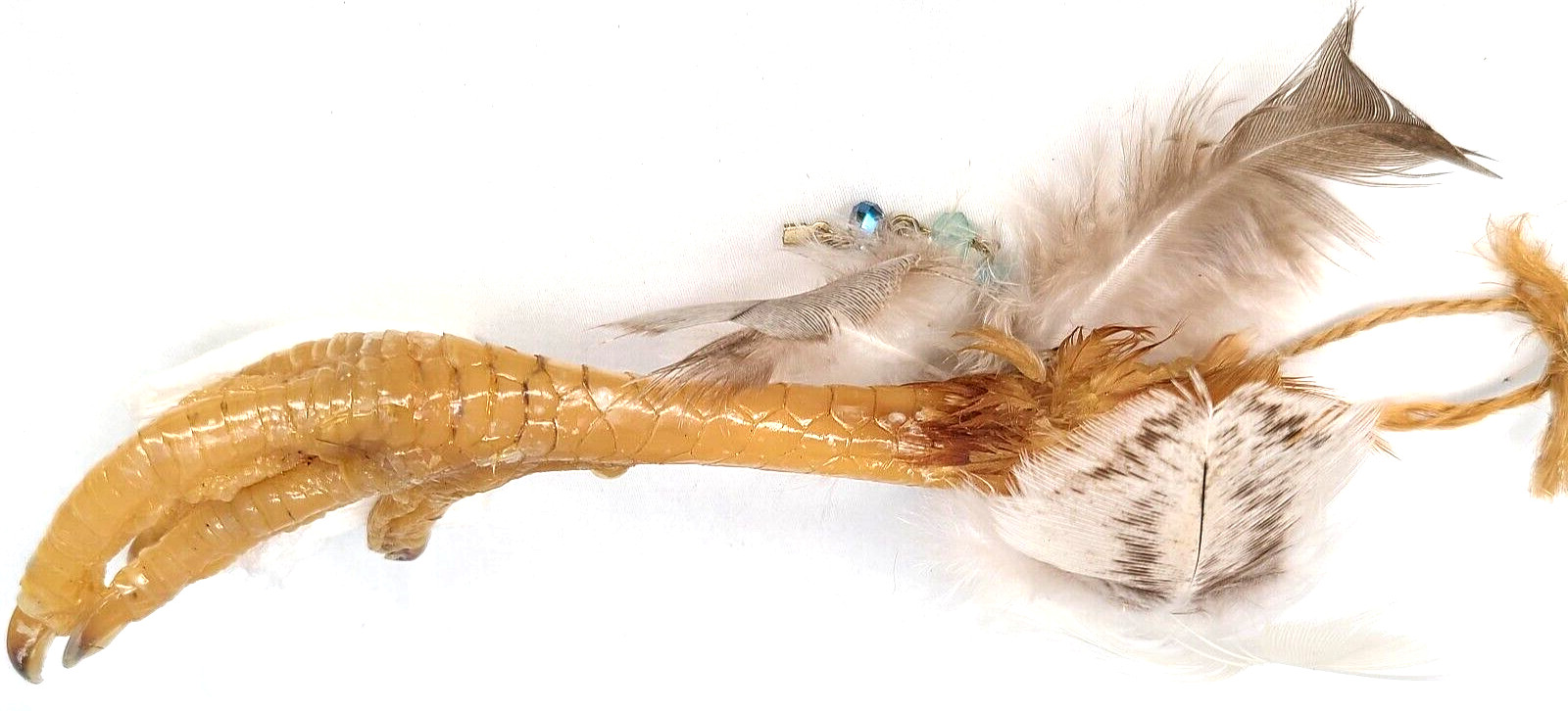 Good Luck Charm Lucky Charm Chicken Foot Voodoo Protection Occult Items Oddity