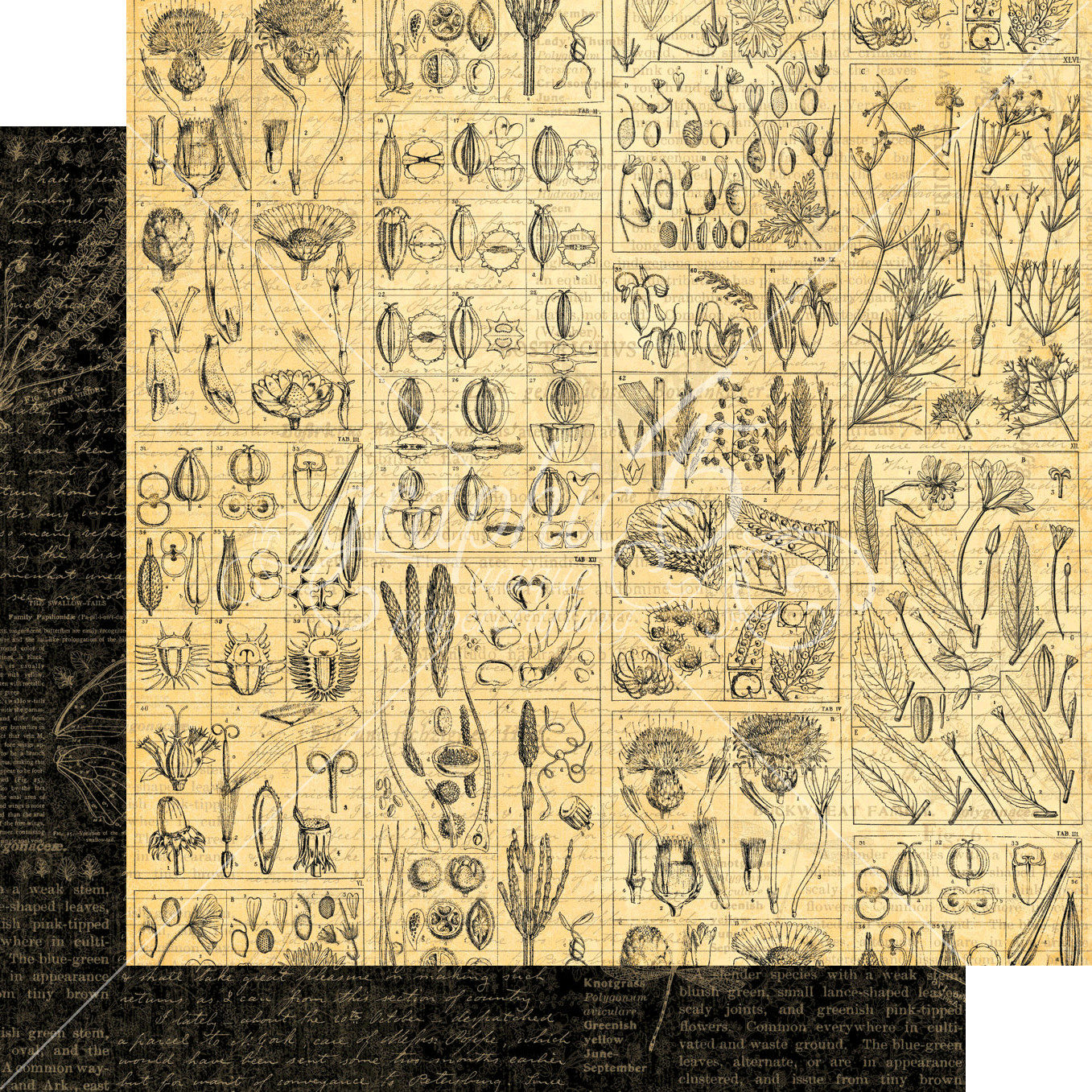 GRAPHIC 45 NATURE NOTEBOOK RETIRED 2020 ~NATURE BOTANICAL BUTTERFLY *SHIPS FREE*