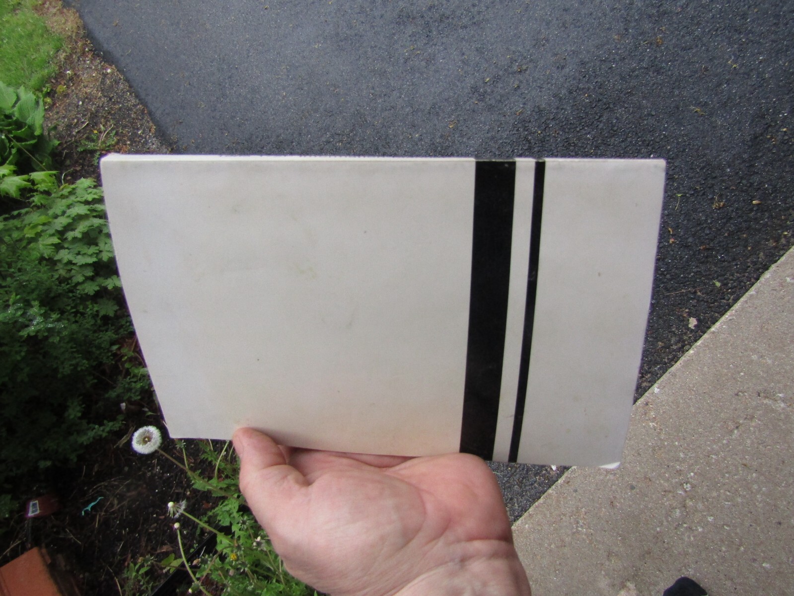 Cessna 1985 Skyhawk Information Manual