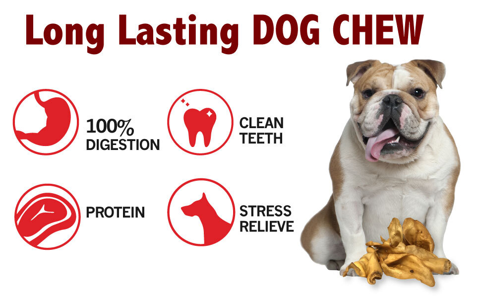 All Natural Beef Cow Ears DOG Treats in bulk SMOKED Flavor