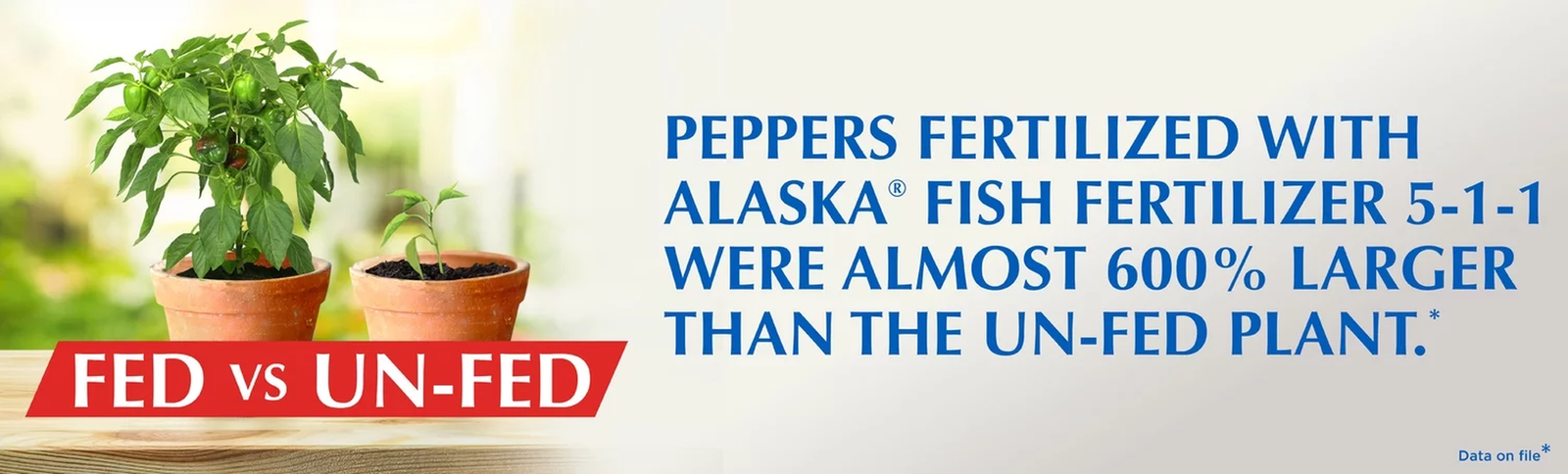 Fish Emulsion Plant Food, 5-1-1 Fertilizer