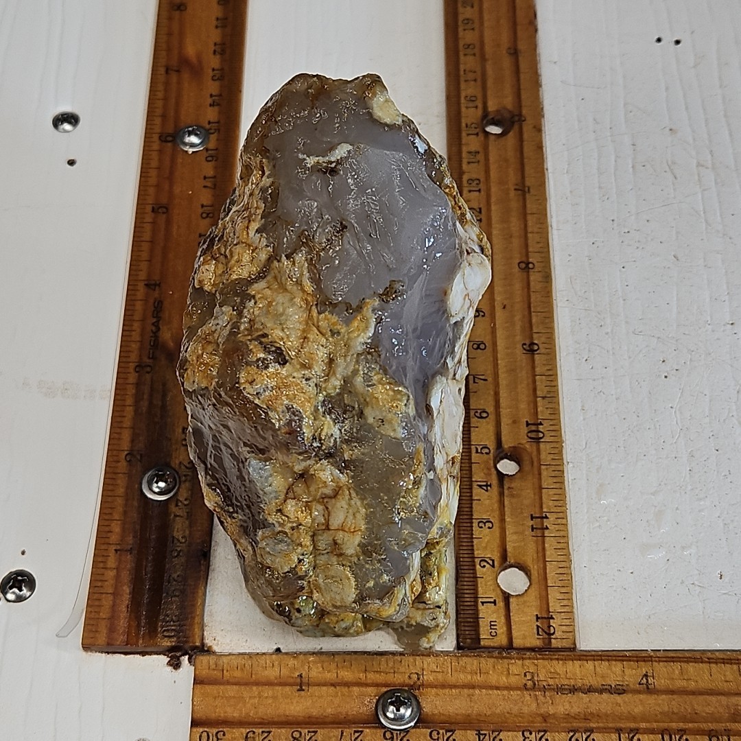 Flower Agate, Madagascar, beautiful color, flower like dendrites 1LB 15.5oz.