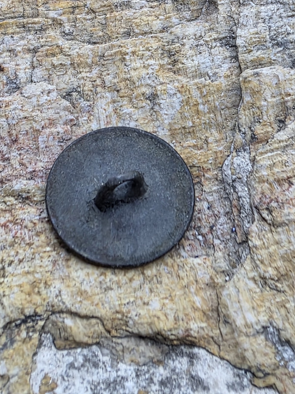 Mexico Spanish Colonial Military Button Rampant Lion.