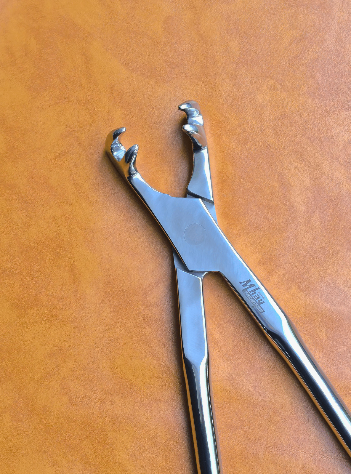 Equine Dental Forceps Four Prong 21"