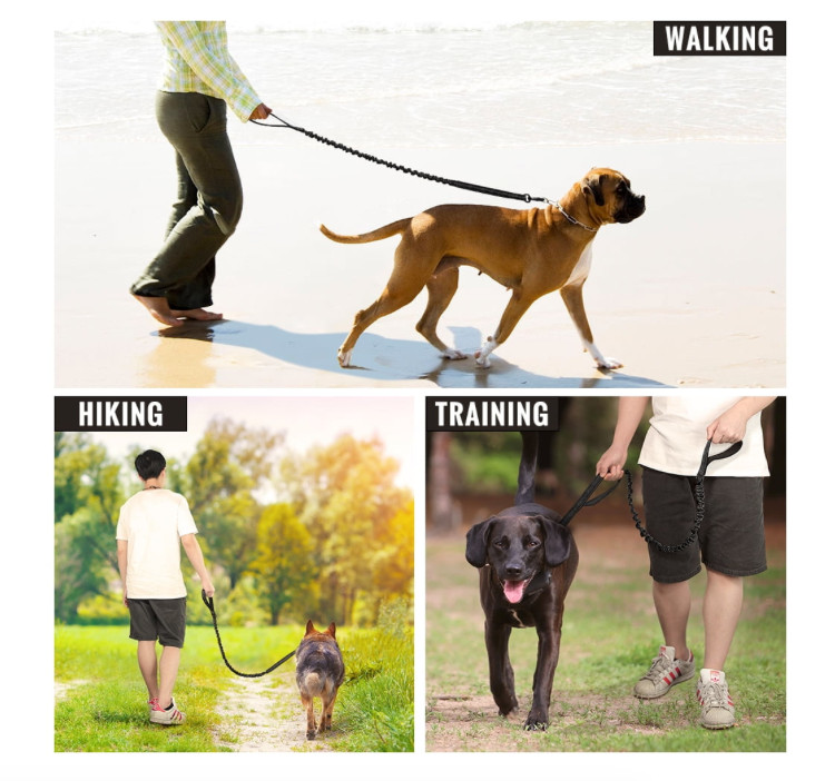 NEW Tactical Pull-Shock Proof Bungee Dog Leash Size: Medium to Large Dogs