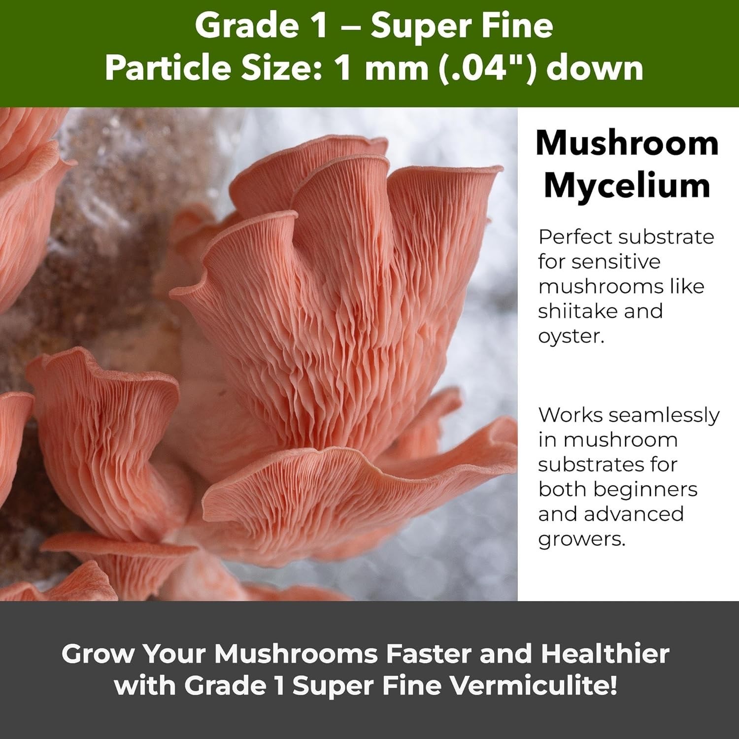 Organic Coarse Vermiculite Grade 4 | Soil Aeration, Seed Starting, Mushrooms