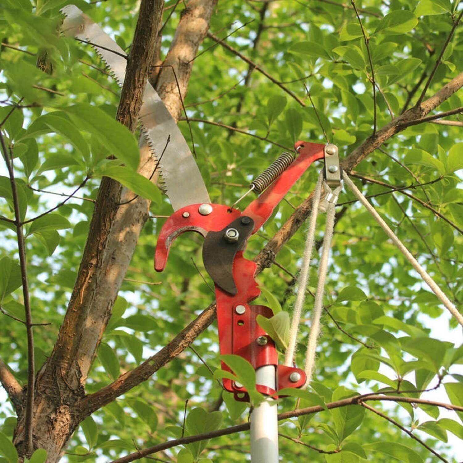 High Reach Tree Trimmer Pruner Saw Branch Cutter Pruning Tool Without Pole US