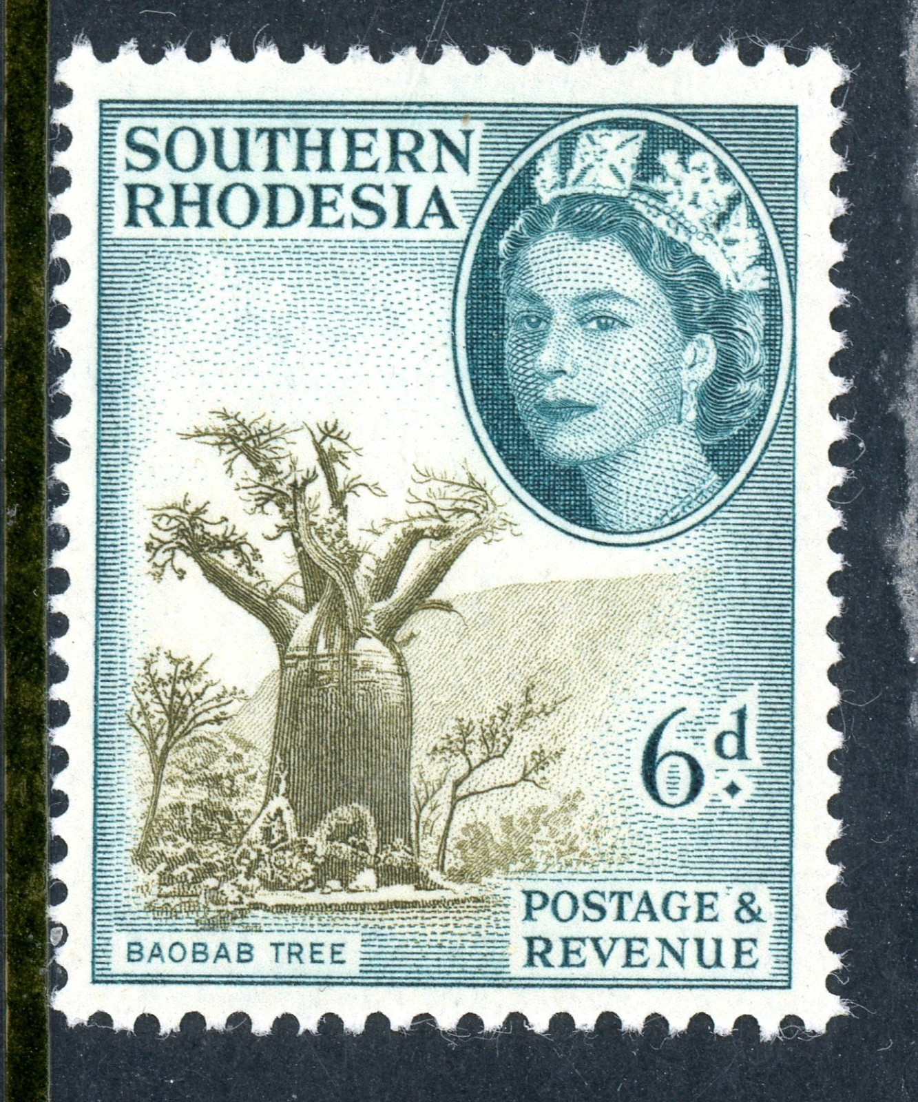 Rhodesia 1953 British QEII 6p Baobab Tree SG #84 Mint S835