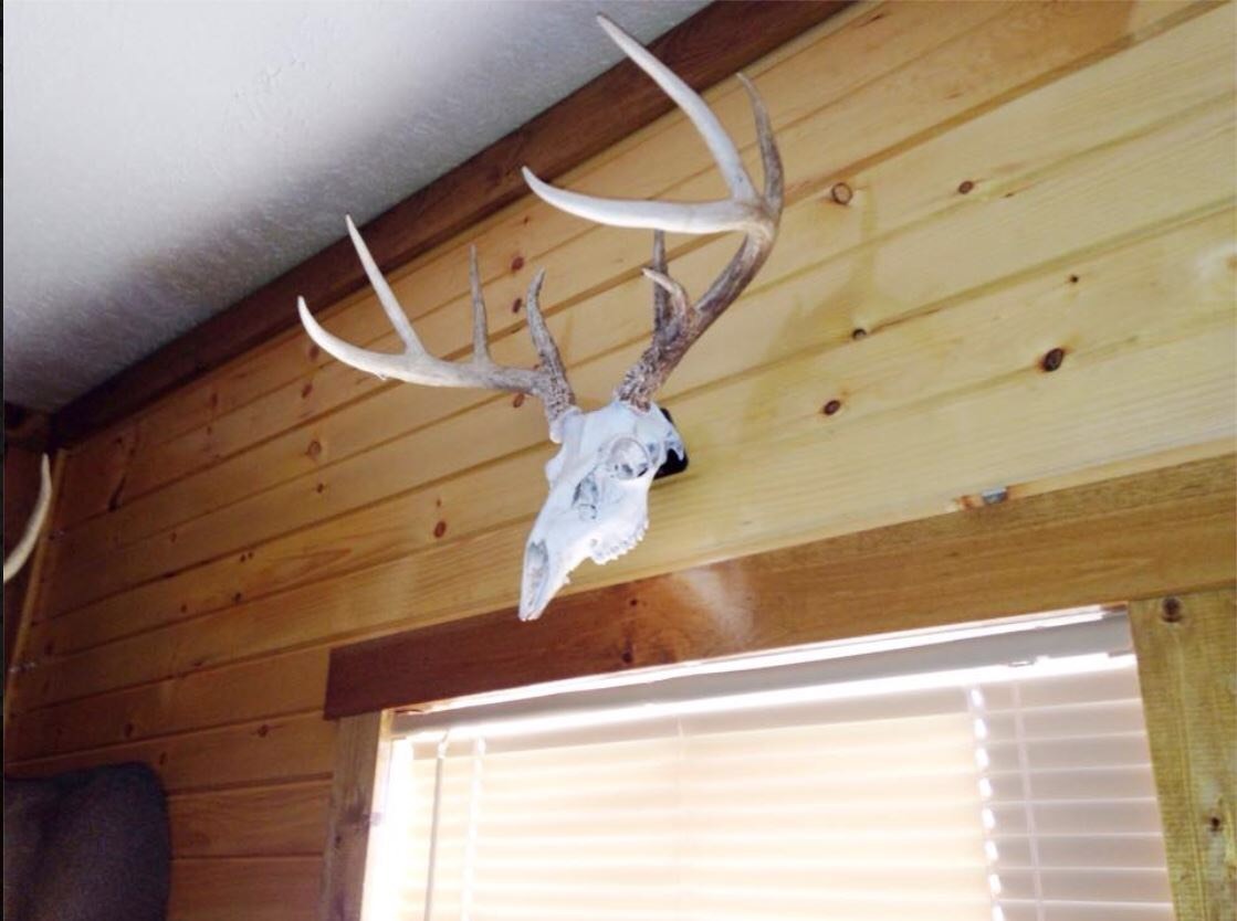 European Skull Mount Hanger *The EuroHanger* Deer Skull Hook