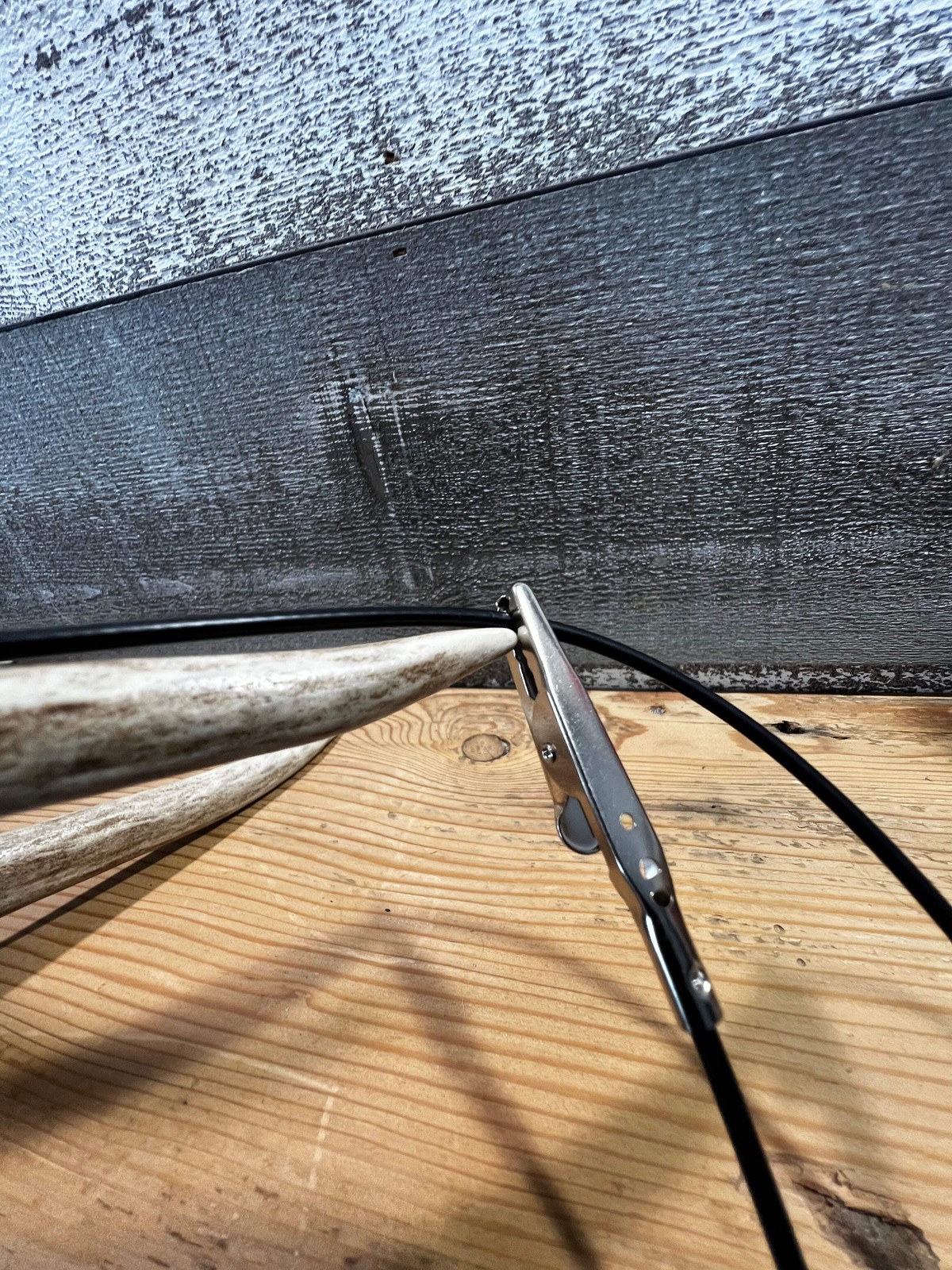 Whitetail Co. Whitetail, Elk and Antelope Antler Score Kit