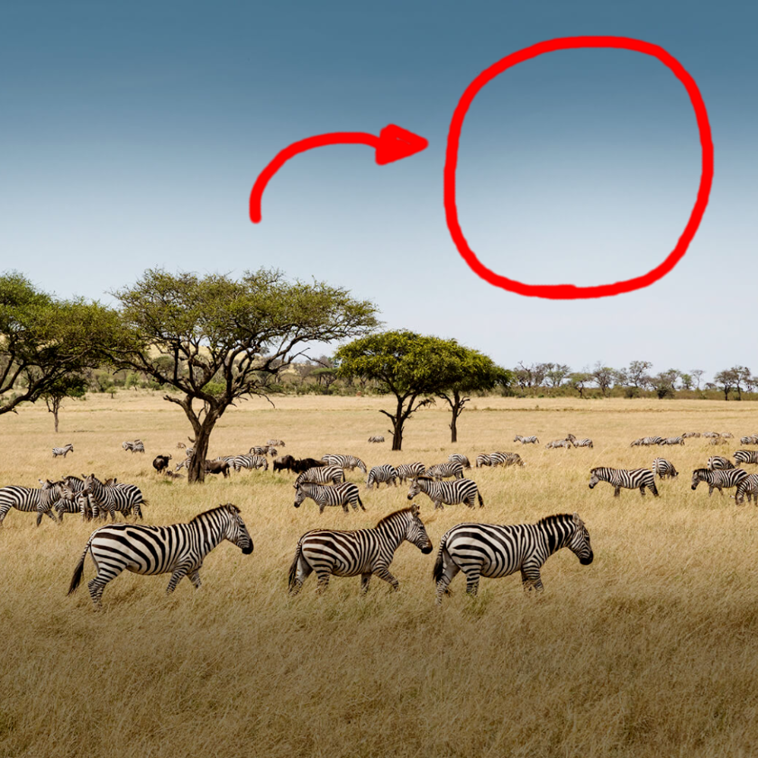 [Absouletly Nothing]