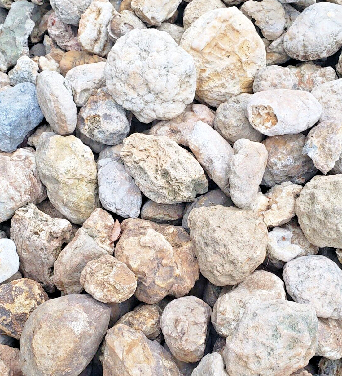 5 lbs Premium Kentucky Uncut Geodes Agates Nodules Lapidary Quartz Crystals Sale