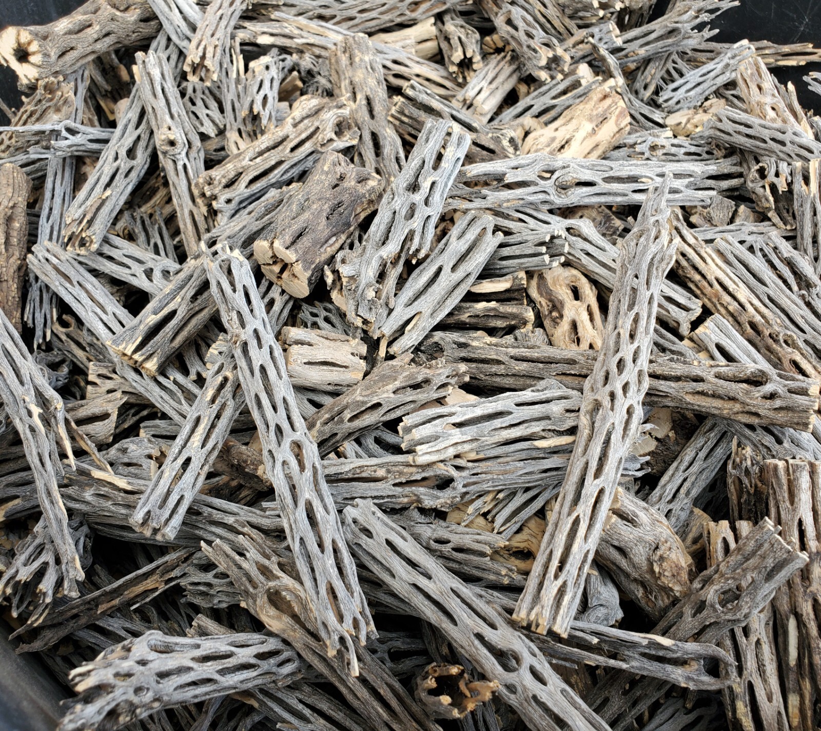 2+ LBS CHOLLA Wood CUTOFFS | Whole Pieces Split Halves Bits | Aquarium, Crafts