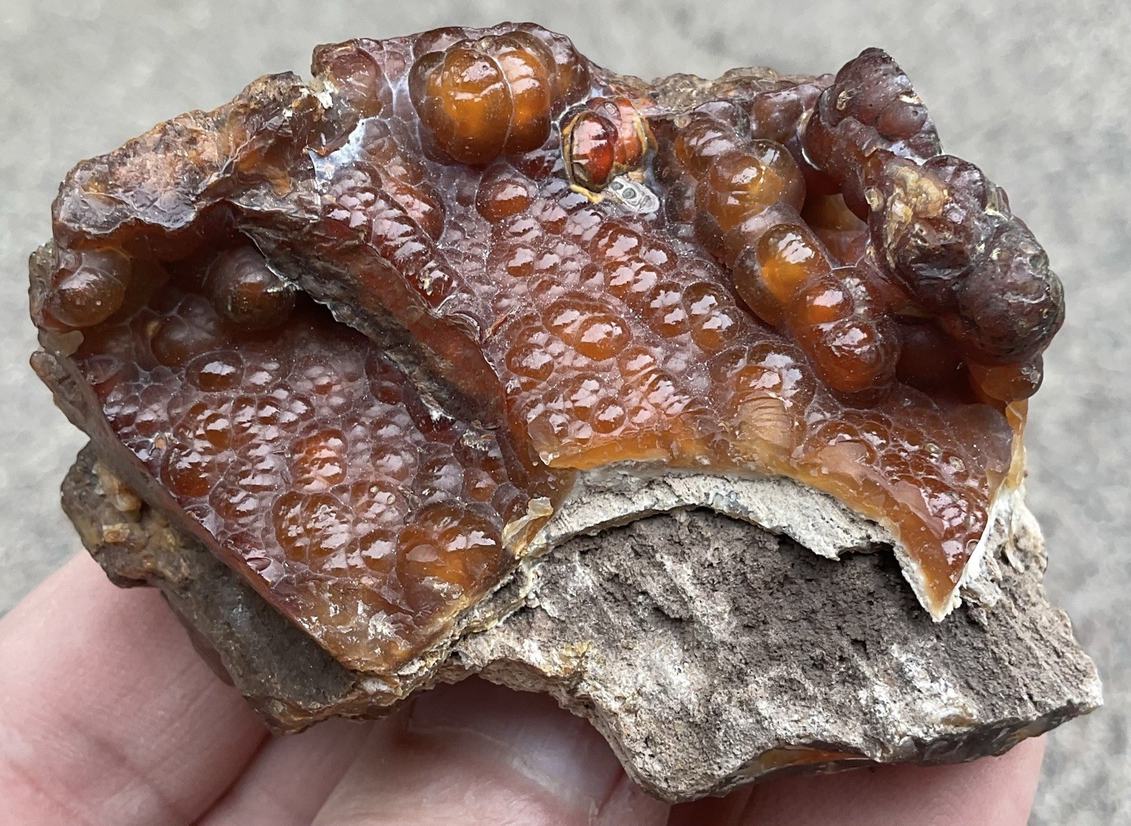 103g Botryoidal Agatized Coral Fossil Chalcedony Stalactite Florida
