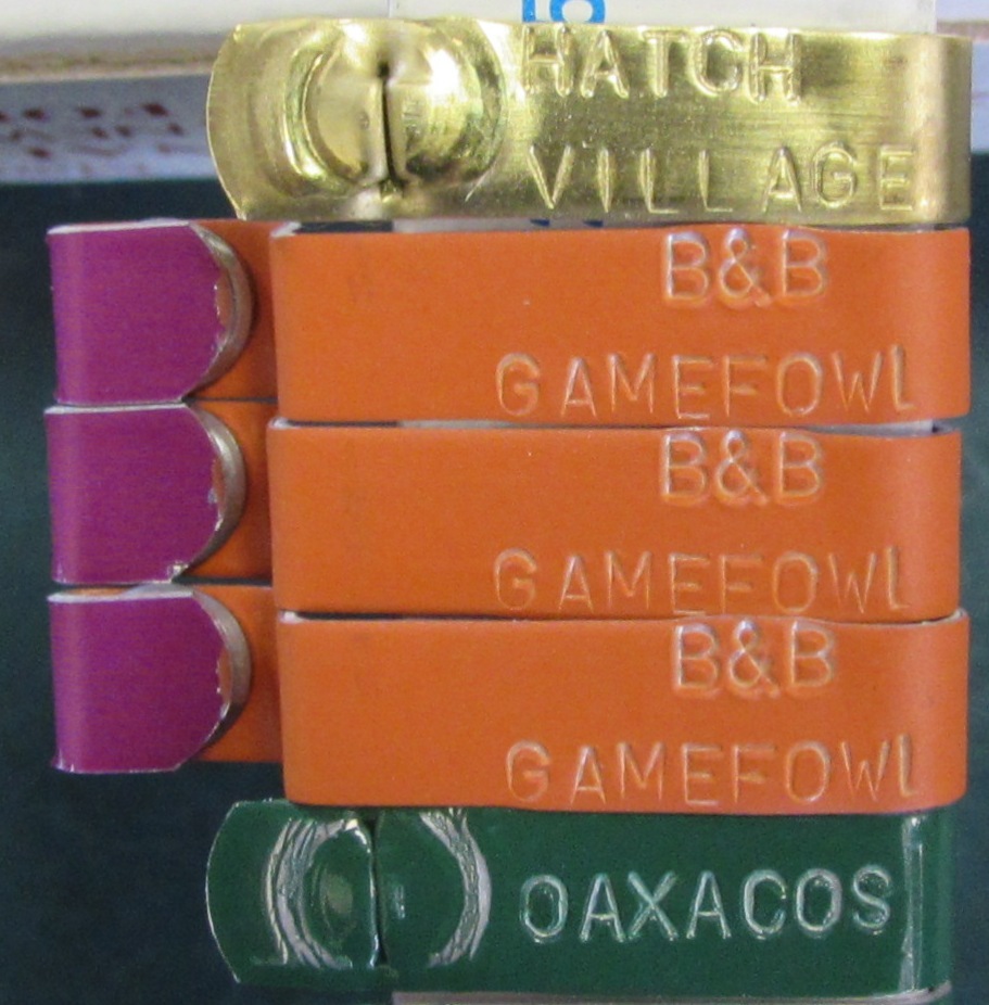 Jiffy Wing Bands 100pcs Customized Poultry Chicken ID Tags w/ Name or Farm Name