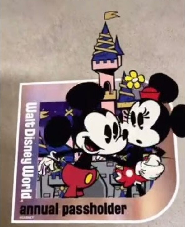 Walt Disney World Passholder Magnet Set Of 14Magnets (Homemade)