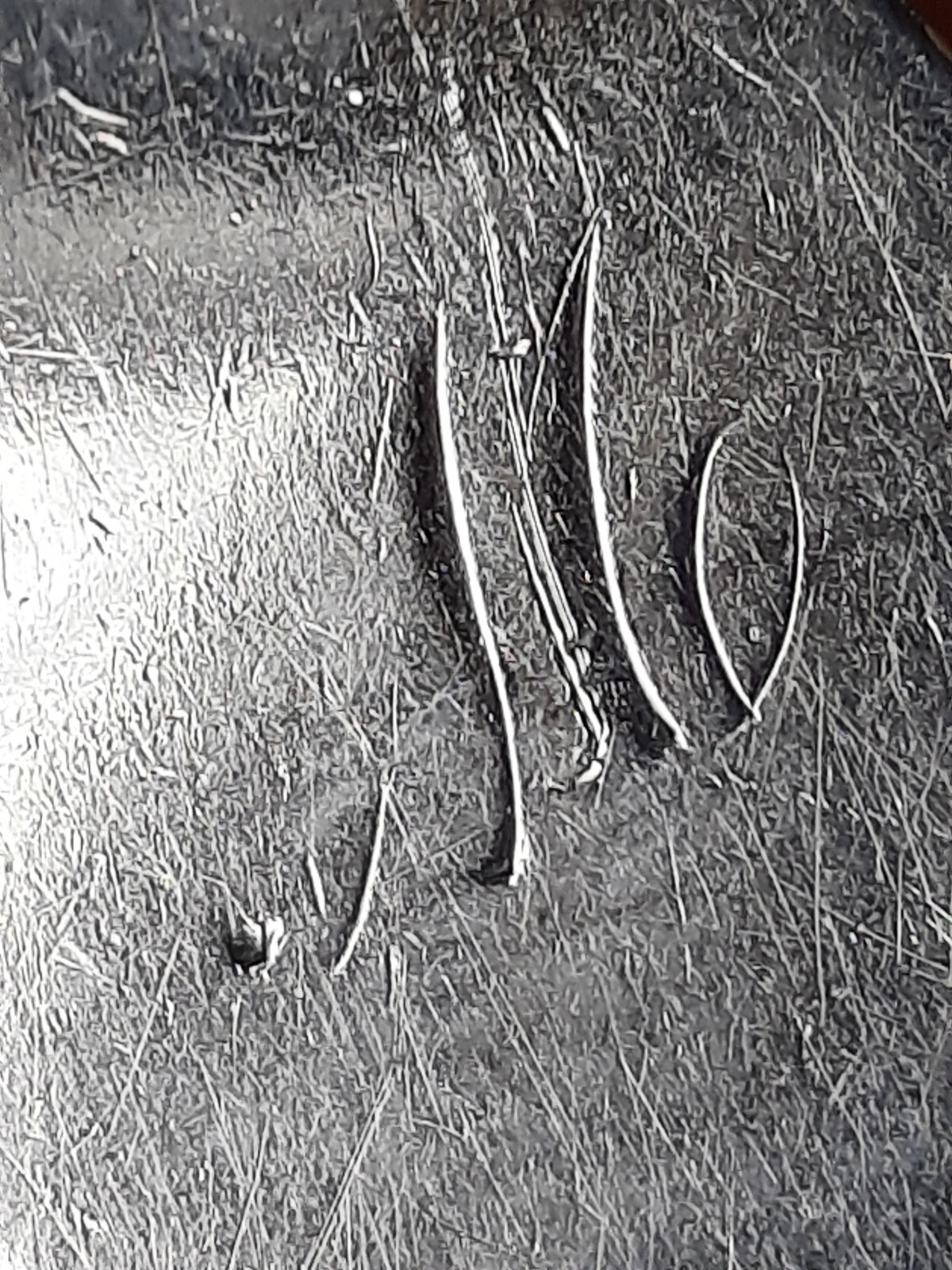 Coin Silver Knowles & Ladd Leaf & Berry Pickle Knife