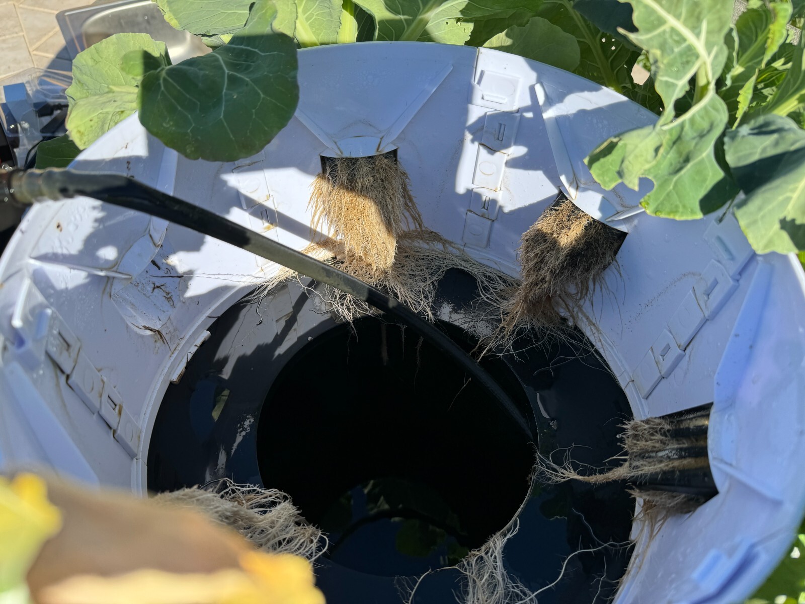 hydroponic vertical tower growing system-2025