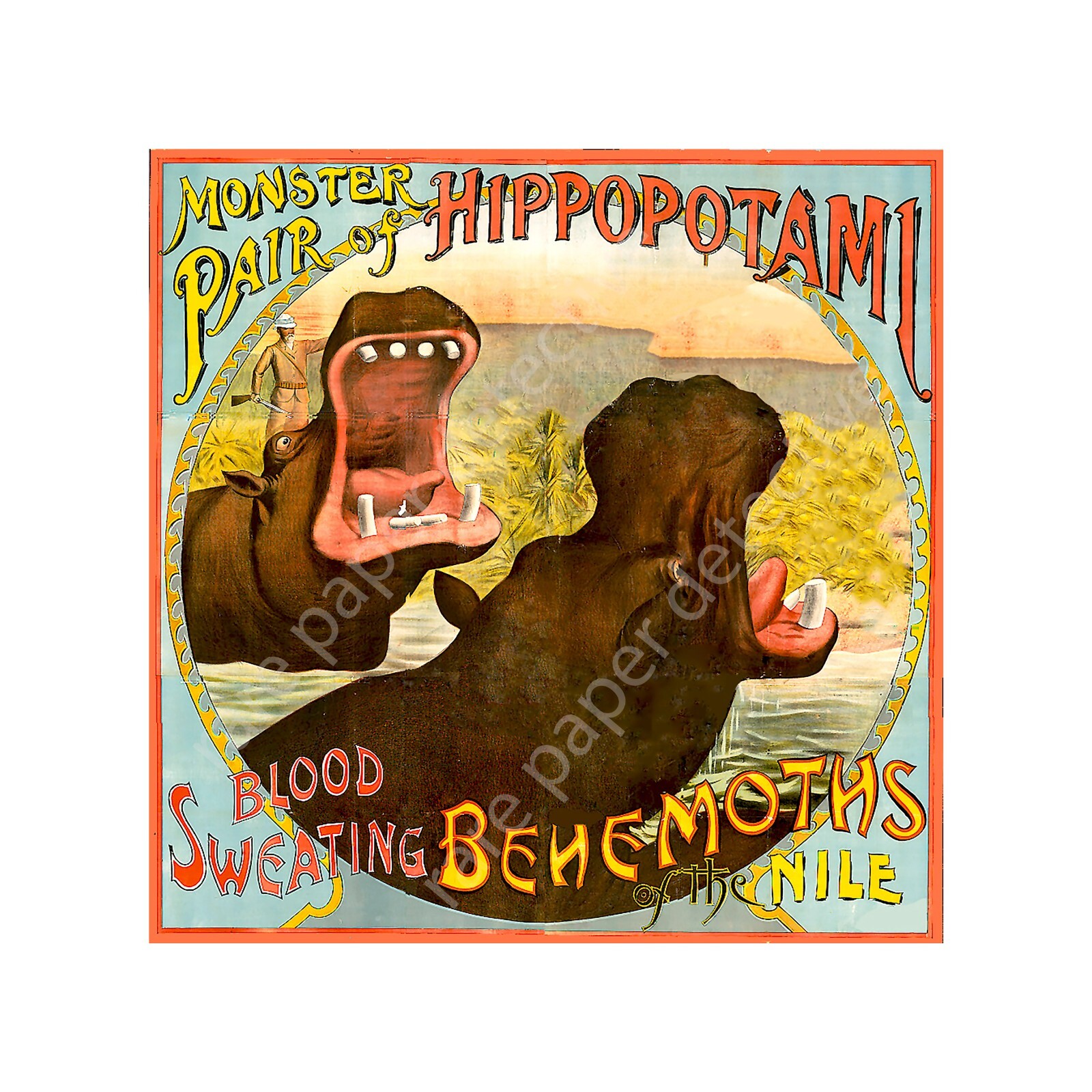 Hippopotamus Print, Antique Show Poster, 8" x 8", Wild Animal, REPRODUCTION