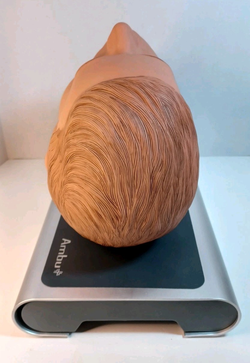 Ambu Intubation Airway Management Trainer – 186002000 - No Packaging