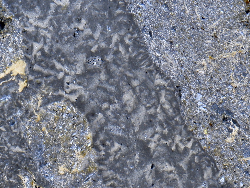 Meteorite NWA 17471 rare LUNAR crazy MELT VEIN !! Microscope Slide Thin Section