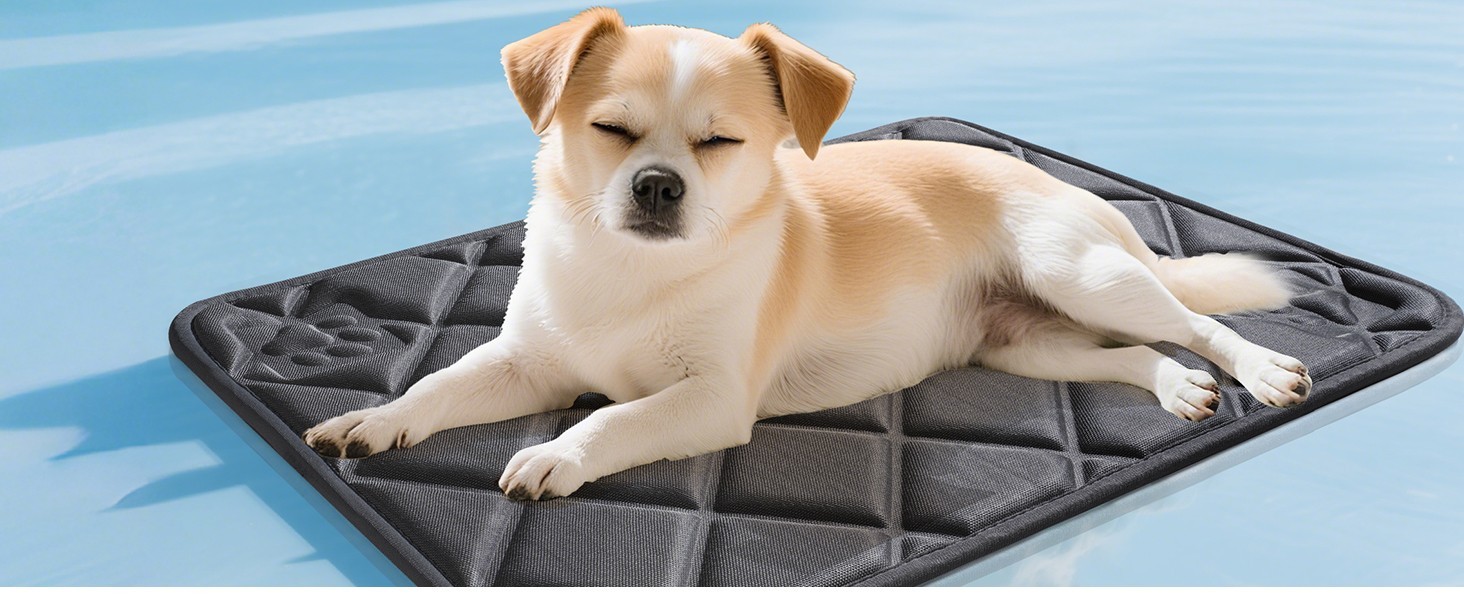 Dog Cooling Mat, Ice Silk Self Cool Pad for Dogs and Cats (35"x24", Black)