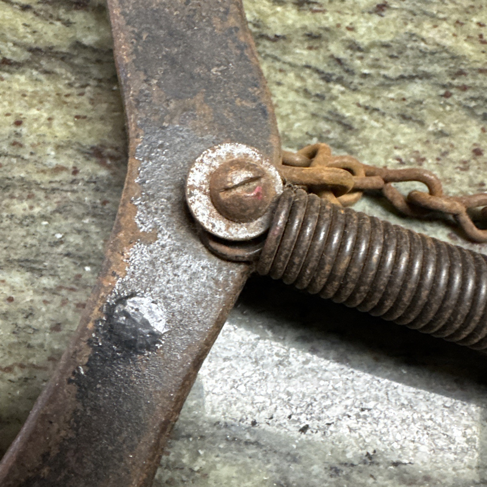 Antique iron Horseshoe Strongman Chest Exerciser EXCELLENT CONDITION