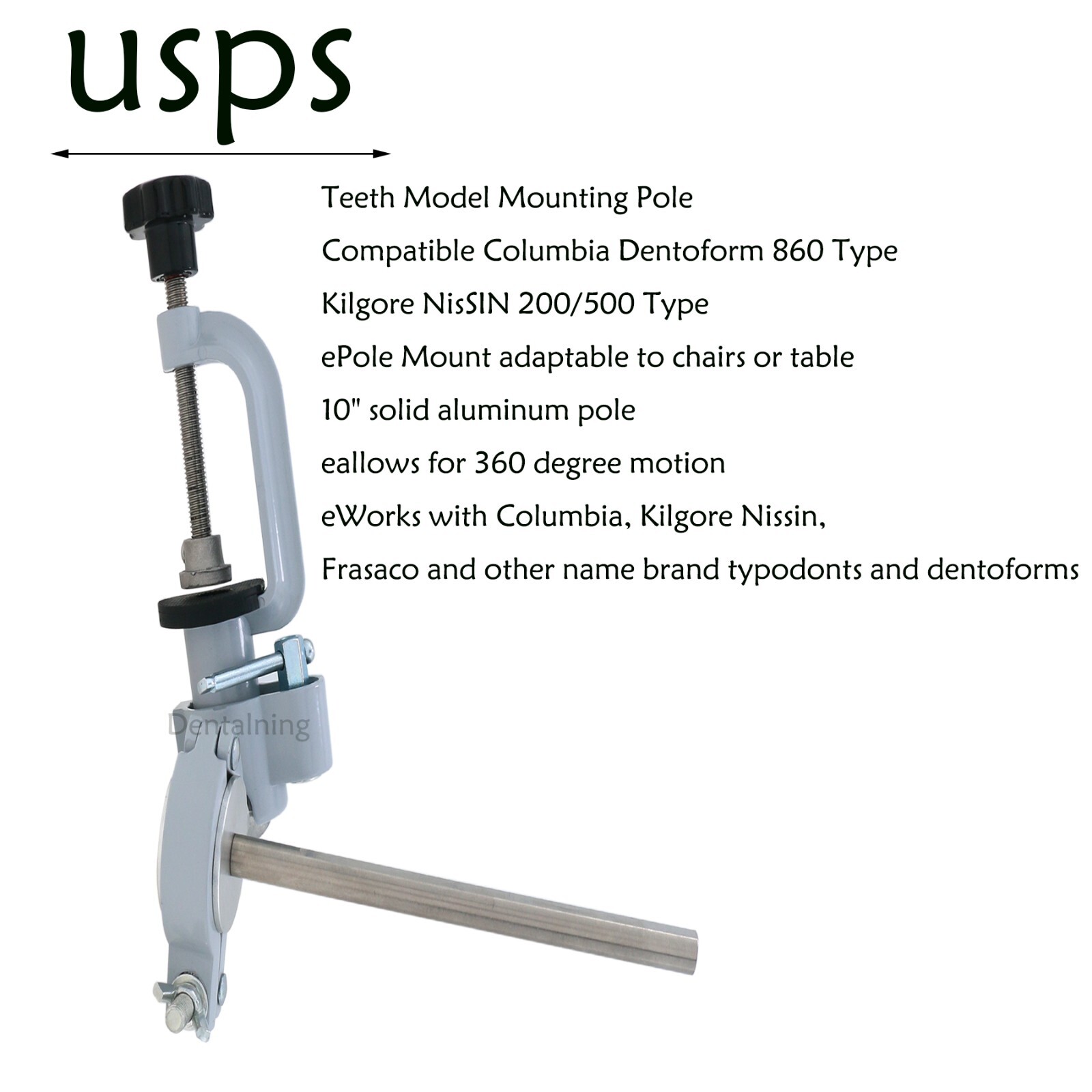 Dental Columbia Dentoform 860 Type Typodont​ 32 Teeth Removable​ Mounting Pole