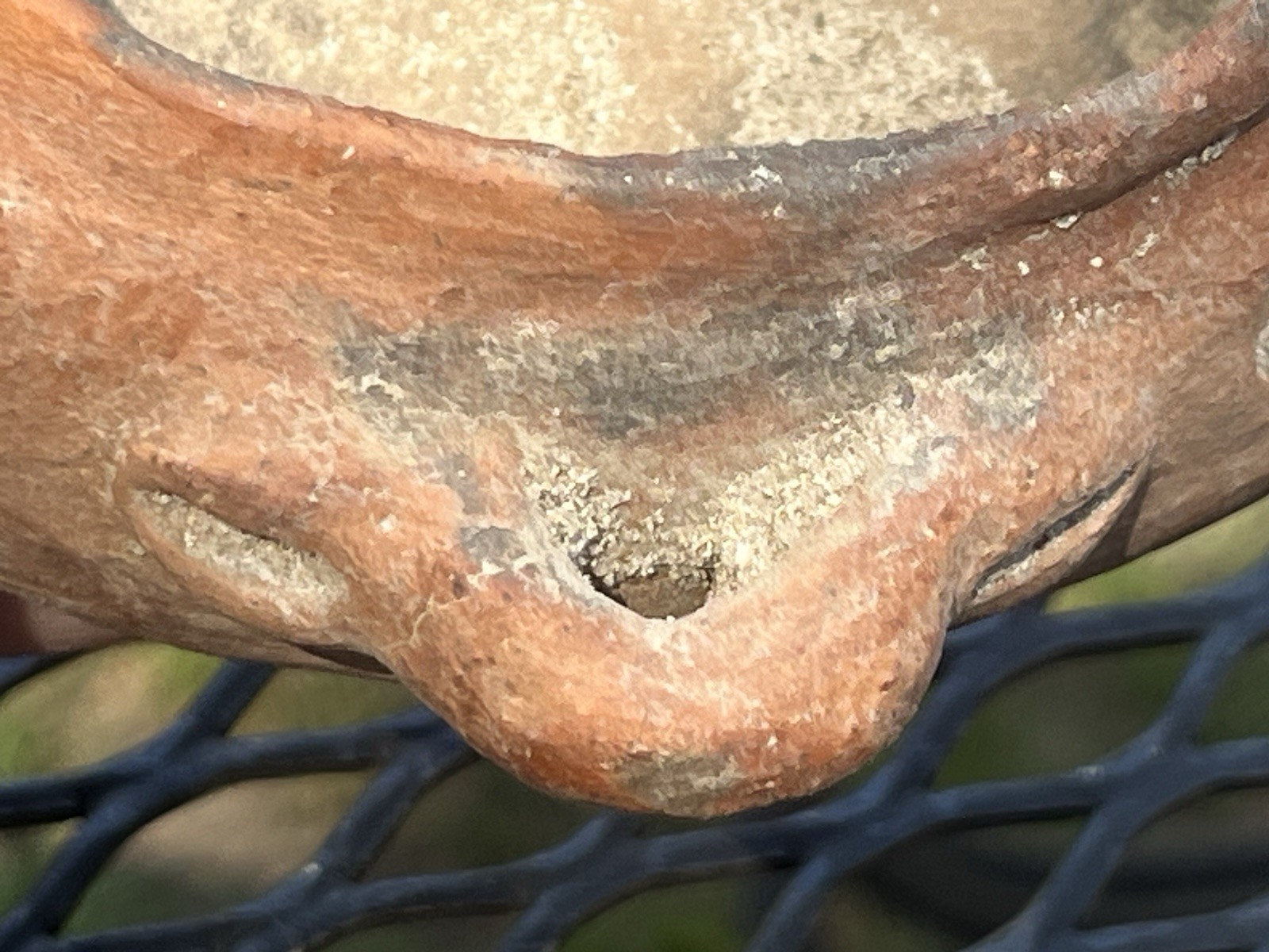 Taino Pottery Bowl PreColumbian Ancient Artifact Arawak Caribe Mayan