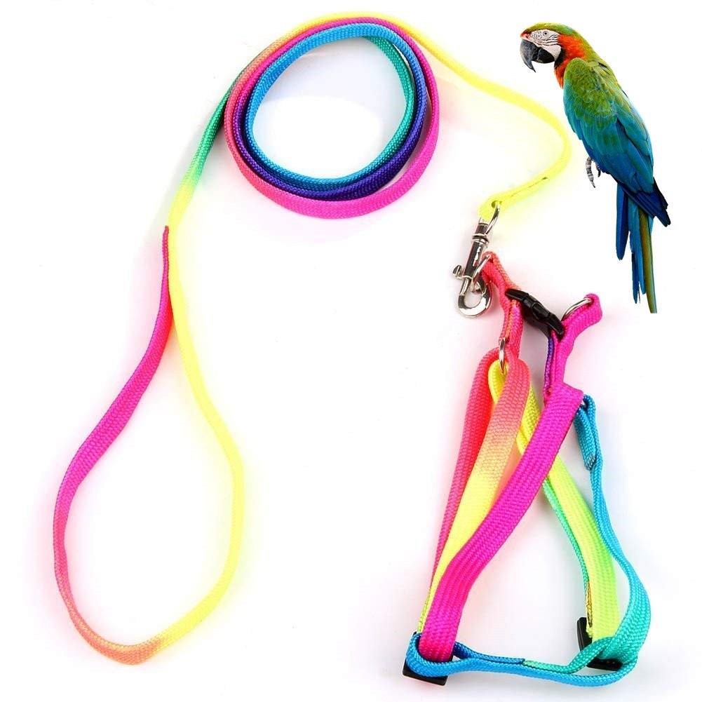 Hypeety Pet Bird Harness and Leash with Buckle Adorable Rainbow Design Safe P...