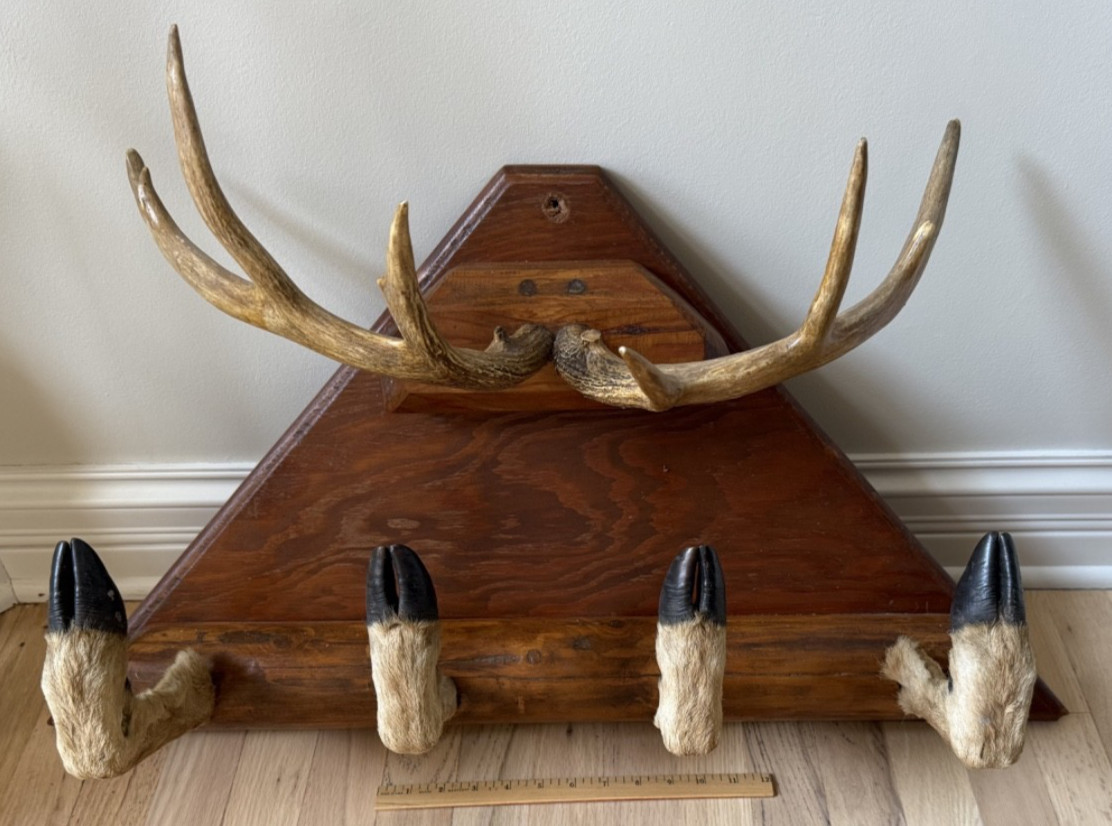 Vintage Taxidermy Deer Antler Hoof Coat Rack Hat Rack Man Cave Bar