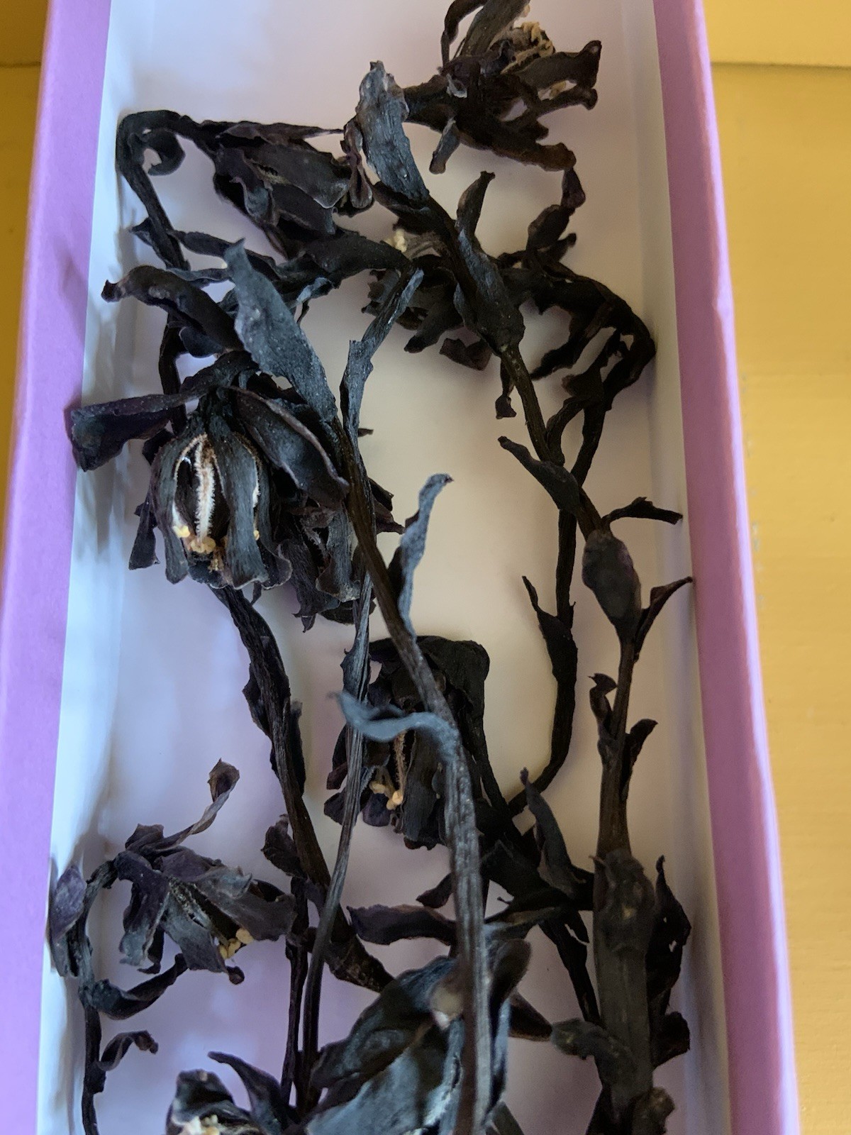 Dried Ghost Pipe Indian Pipe Whole Flowers Box of 12