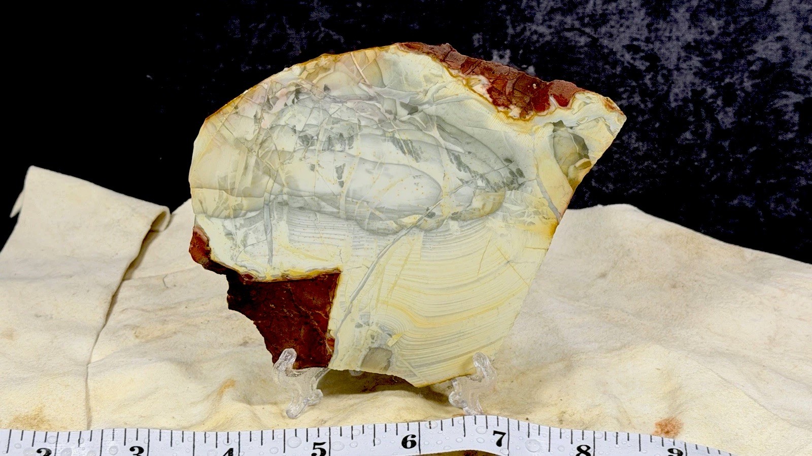 A+ Willow Creek Jasper Slab, Lot #194