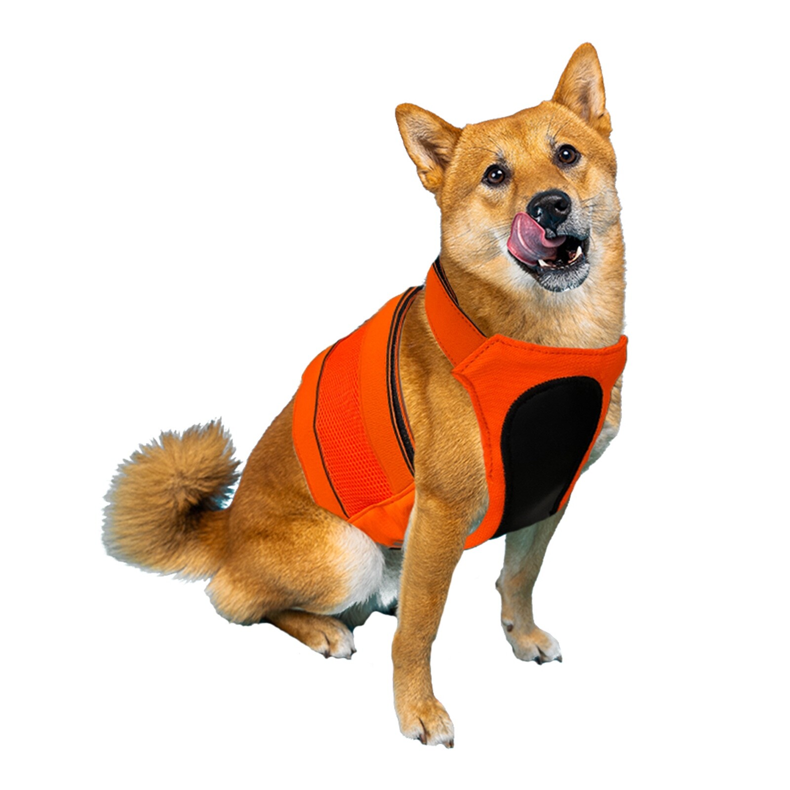 Kong Reflective Dog Hunting Safety Vest High Visibility Outdoor Walking Harness