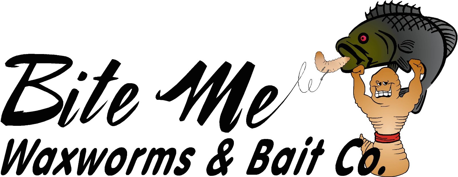 1000 Live Wax Worms, Waxies, Bee Moths, Pet Food, Reptile, Waxworm FREE SHIPPING