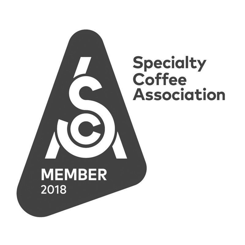 Brazilian Yellow Bourbon Coffee Beans, Medium Roasted Daily 2 Bags 1 Pound Each