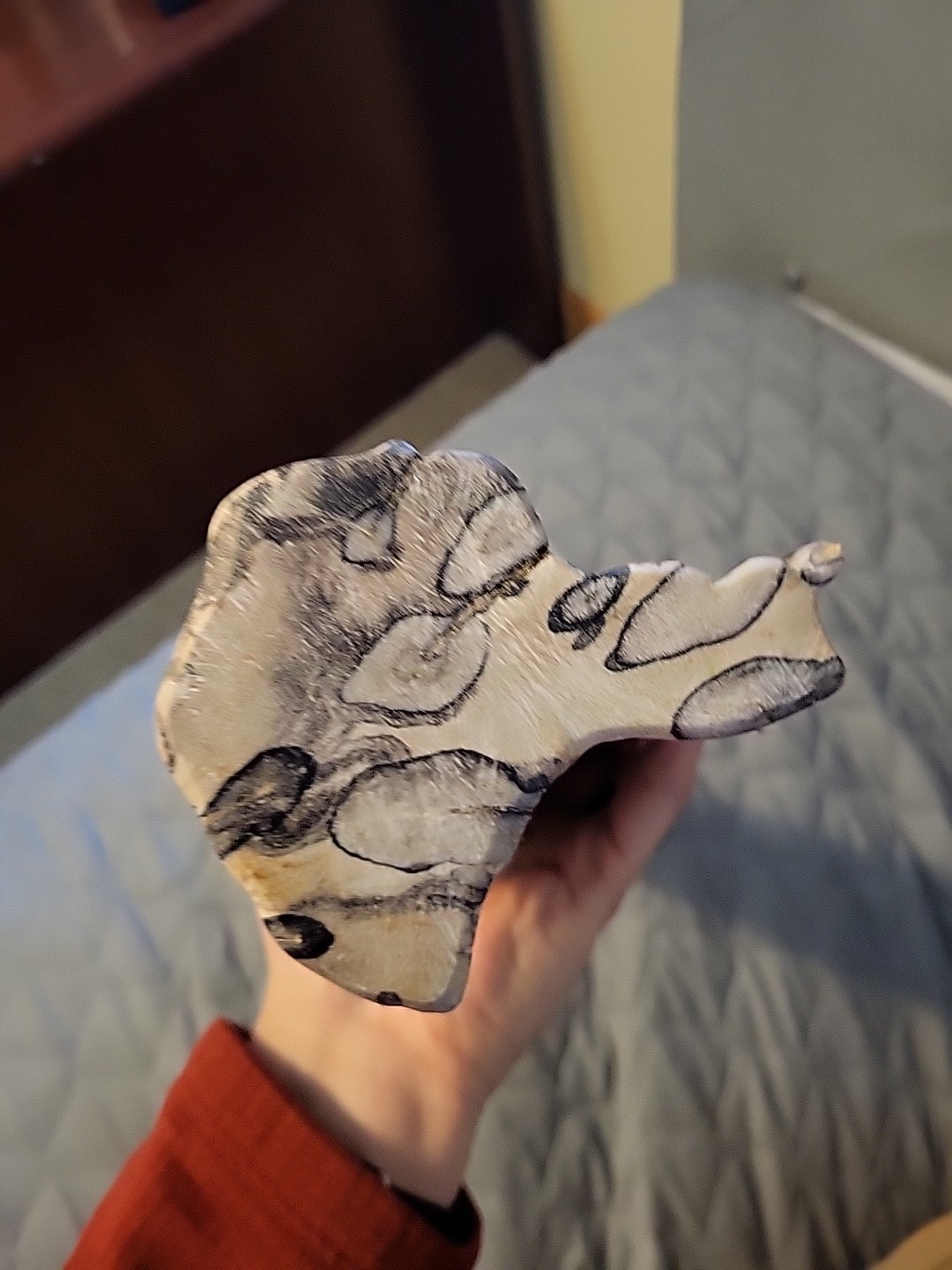 Polished Petrified Wood Fossil Wood Rare Chocolate Calcite Freeform 18.5 inches