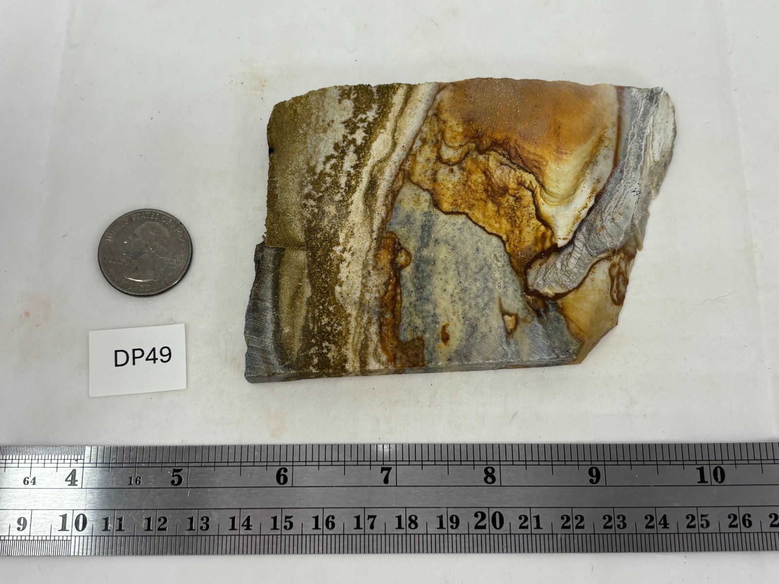 Disaster Peak Picture Jasper Slab Cabbing Lapidary Collecting Combo Ship Avail