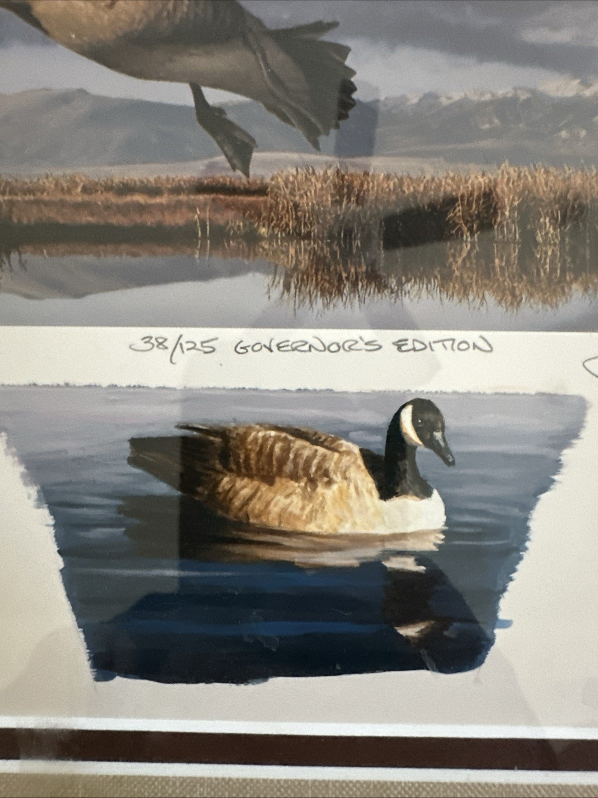 1999 Oregon - State Duck Stamp Print ROBERT STEINER Governors Edition 38/125