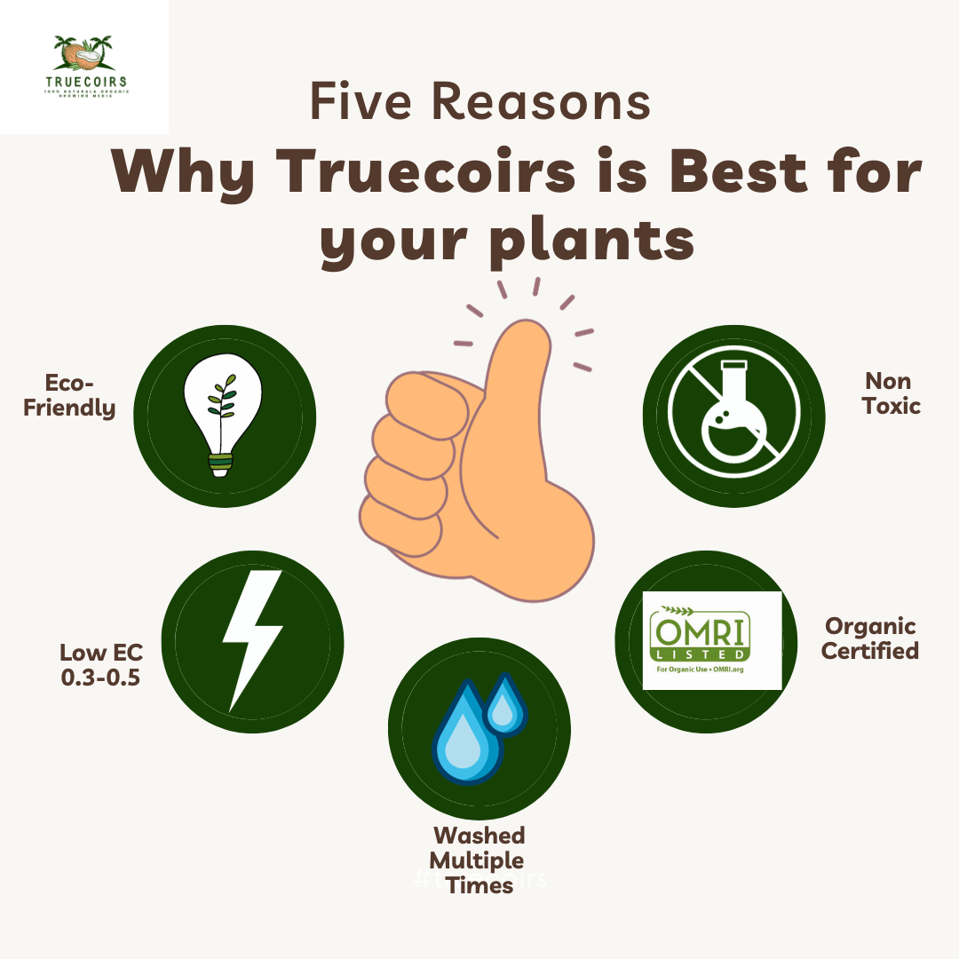 10LB/1.4LB CocoCoir Brick Coconut Fiber Potting Soil Plant Organic Growing Media