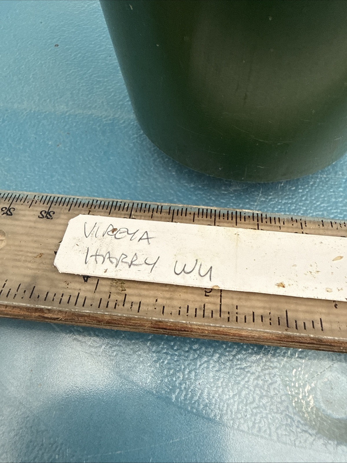 Vireya Rhododendron Harry Wu Amber Pink BS 5.5” Pot Bloom Size