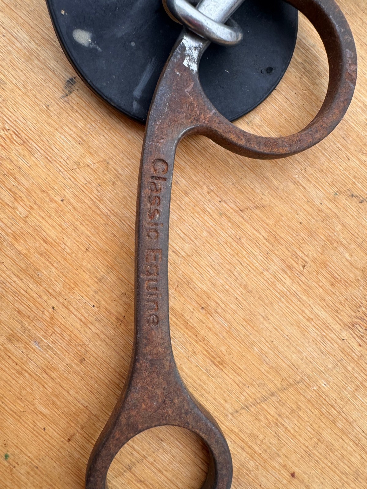 Sherry Cervi Diamond Short Shank O Ring Square Snaffle Horse Bit ~ 5.5"