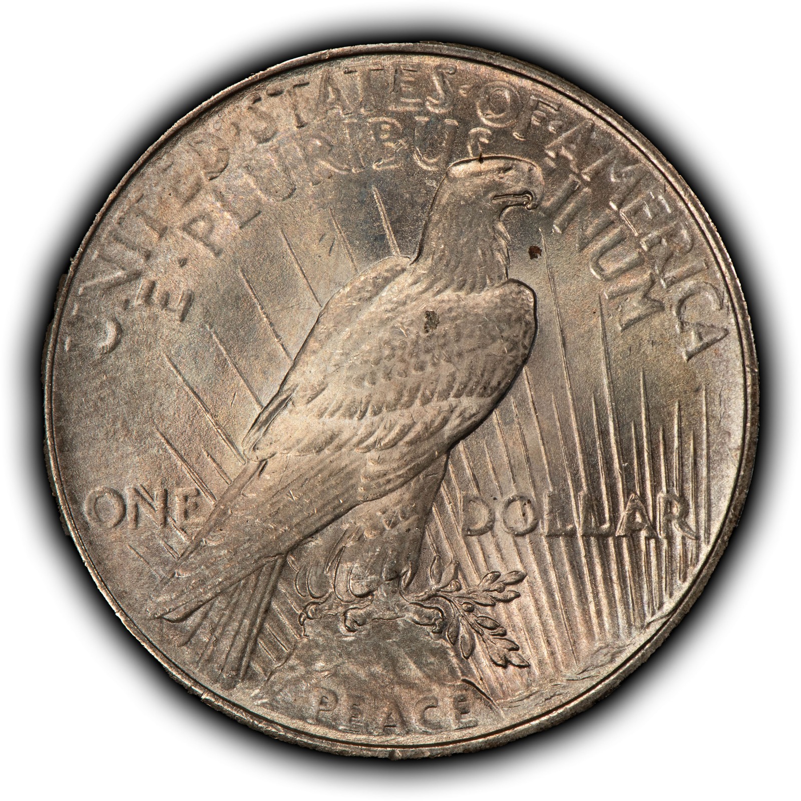 1924 $1 Silver Peace Dollar - Luster - Deep Rainbow Pattern Toning - SKU-D7665
